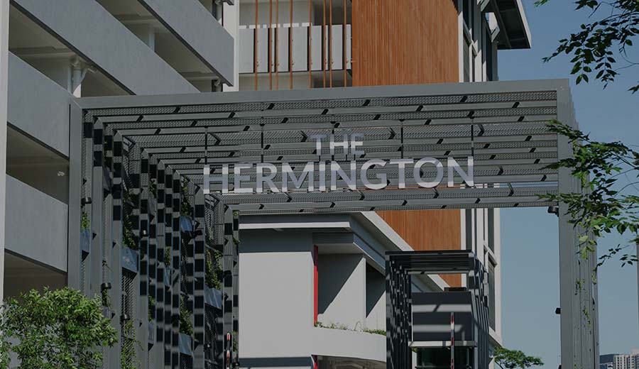 Hermington & Kuchaimas
